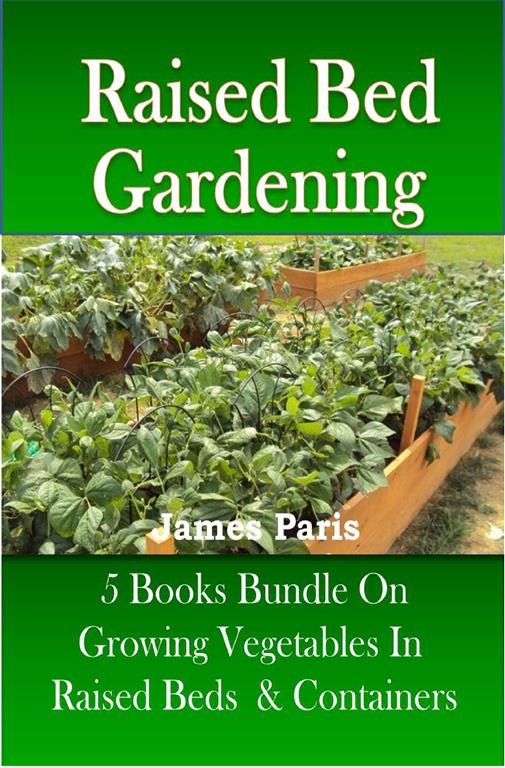 Raised Bed Gardening Books Small garden Ideas