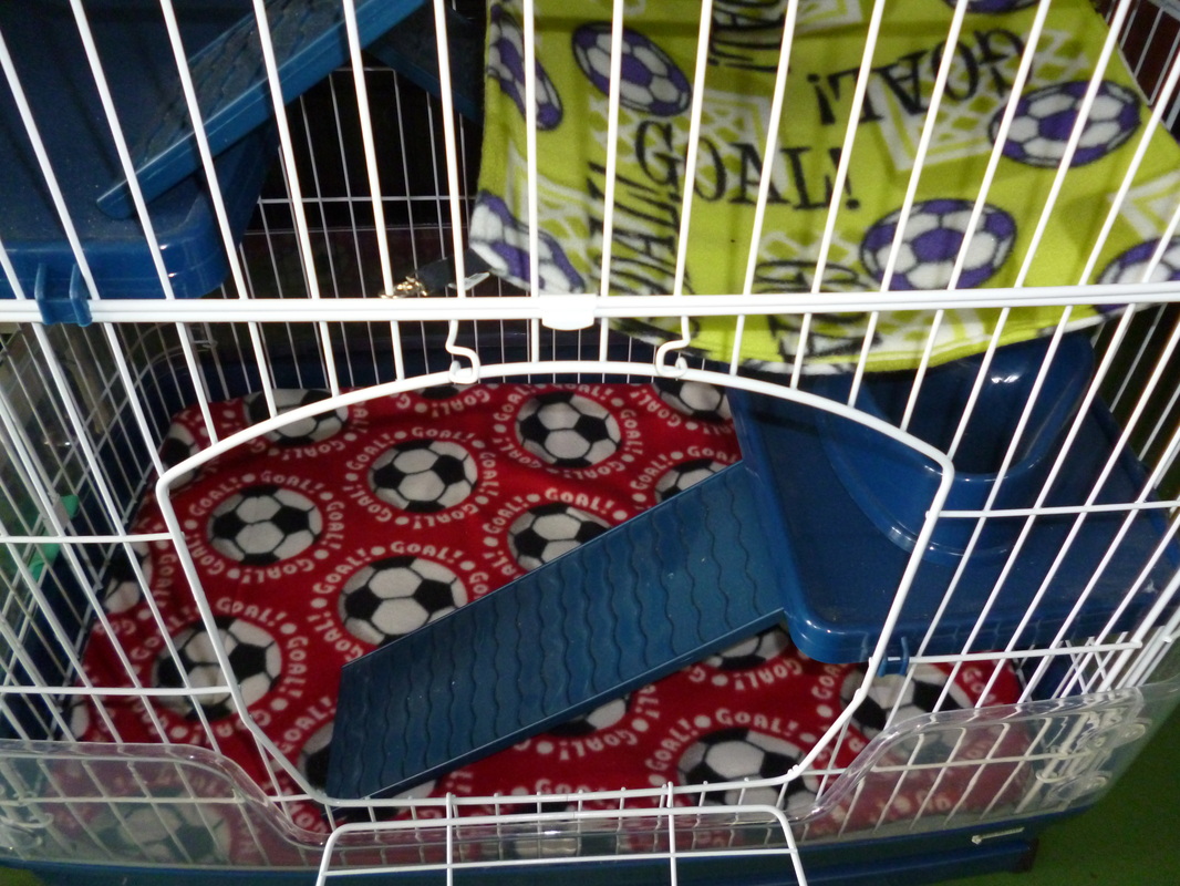 Completed Hutch Makeovers Deano Designs Perth