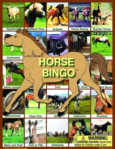 Bingo The Most Admired Game Since Centuries