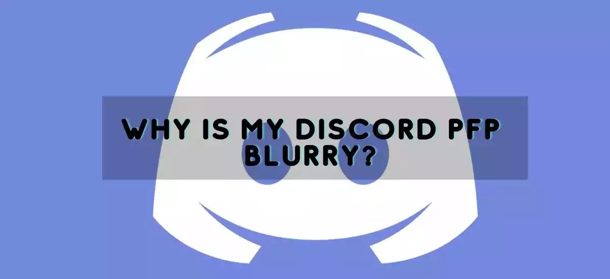Why Is My Discord PFP Blurry? How To Fix It In 2023?