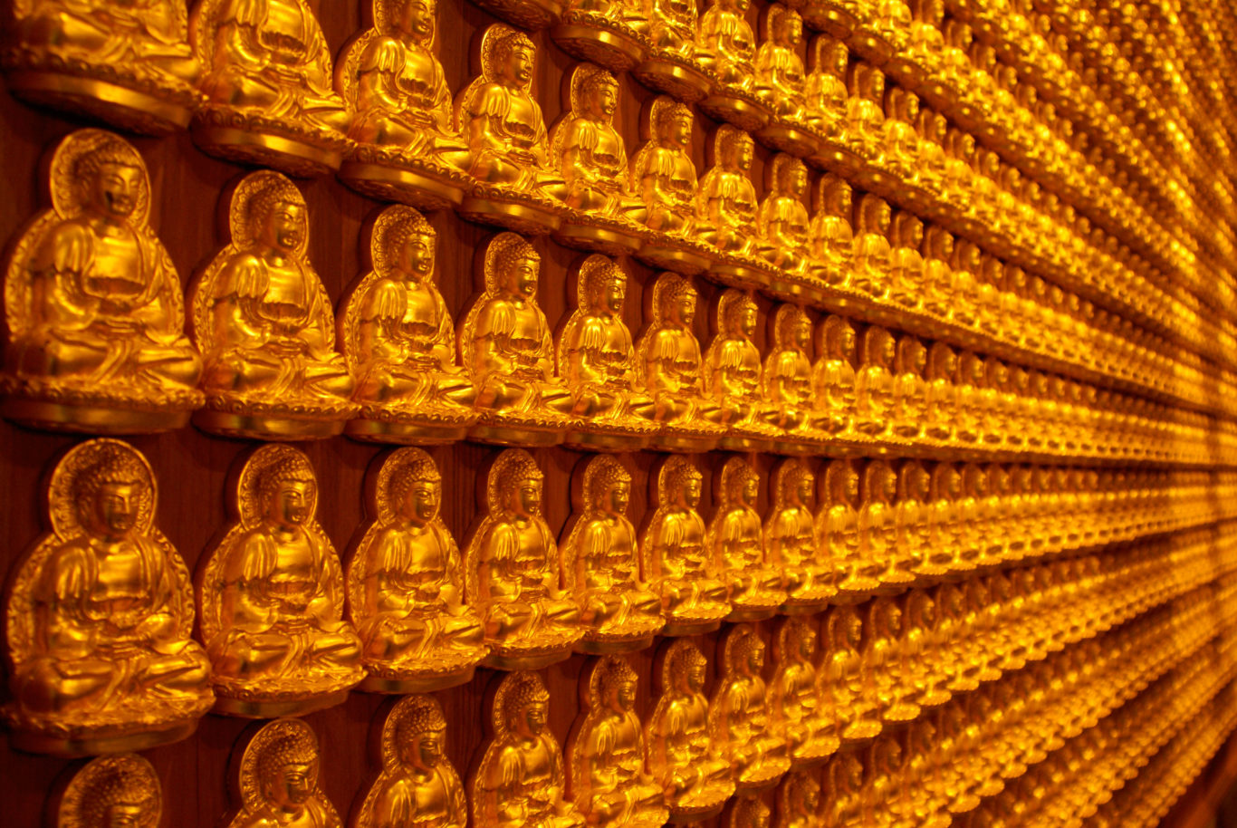 TOO MANY BUDDHAS Everyday Nembutsu