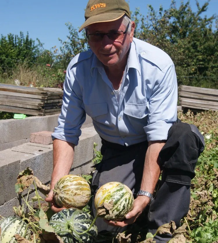 Récolter les melons voici tous les signes essentiels