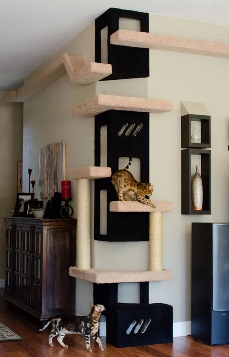 How to Catify Your Home Cool Ideas That Will Make Your Cat Happy