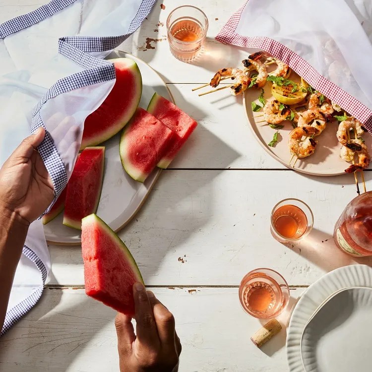 How to Keep Wasps off the Table? Natural Tips & Tricks