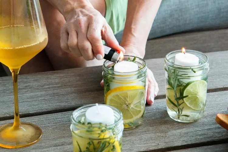 Citronella against wasps Can you really drive them away from the