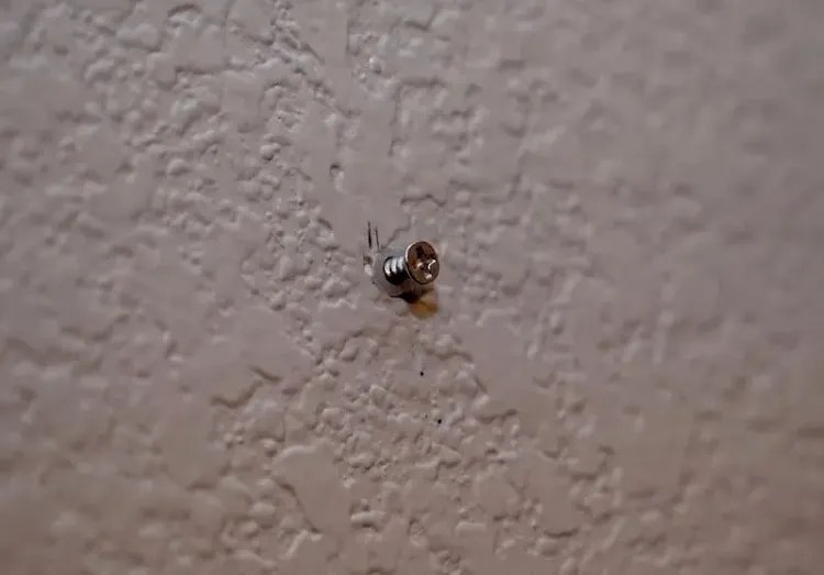 How to Hang Floating Shelves? Follow This Easy DIY 6StepbyStep Guide