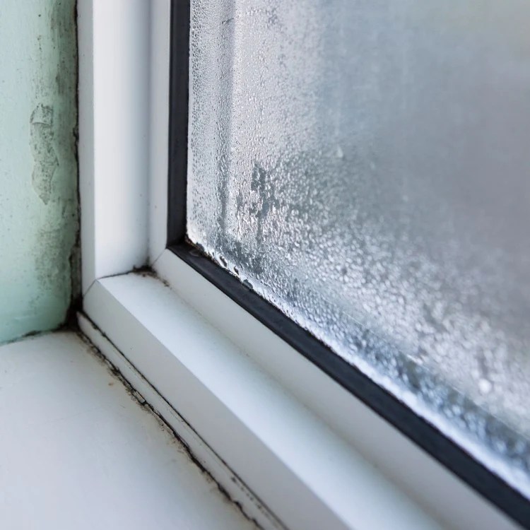 Window Condensation What really helps against condensation? How to Deal