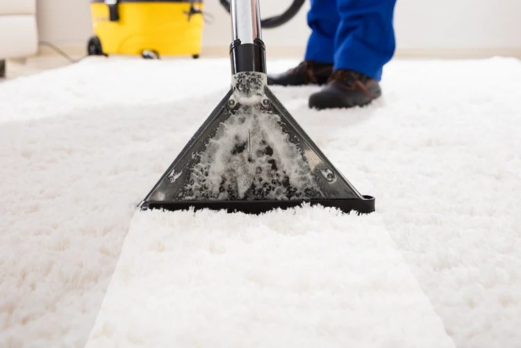How to dry carpet after flood? Find out how to dry and disinfect your