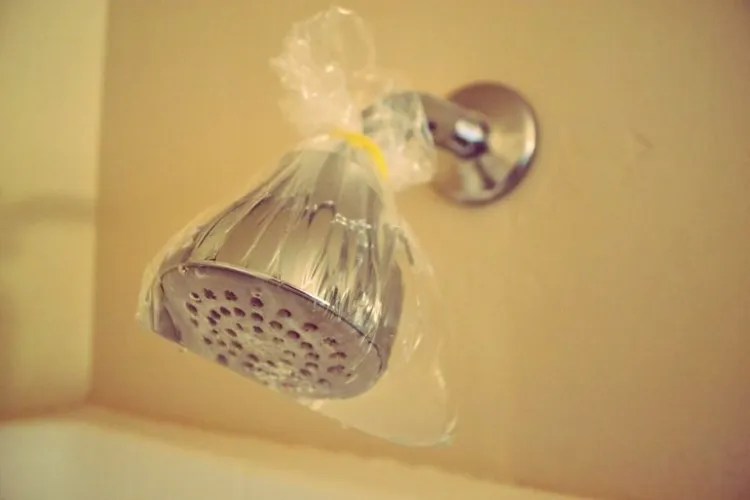 How To Clean Shower Heads the Proper Way and Why You Have To?