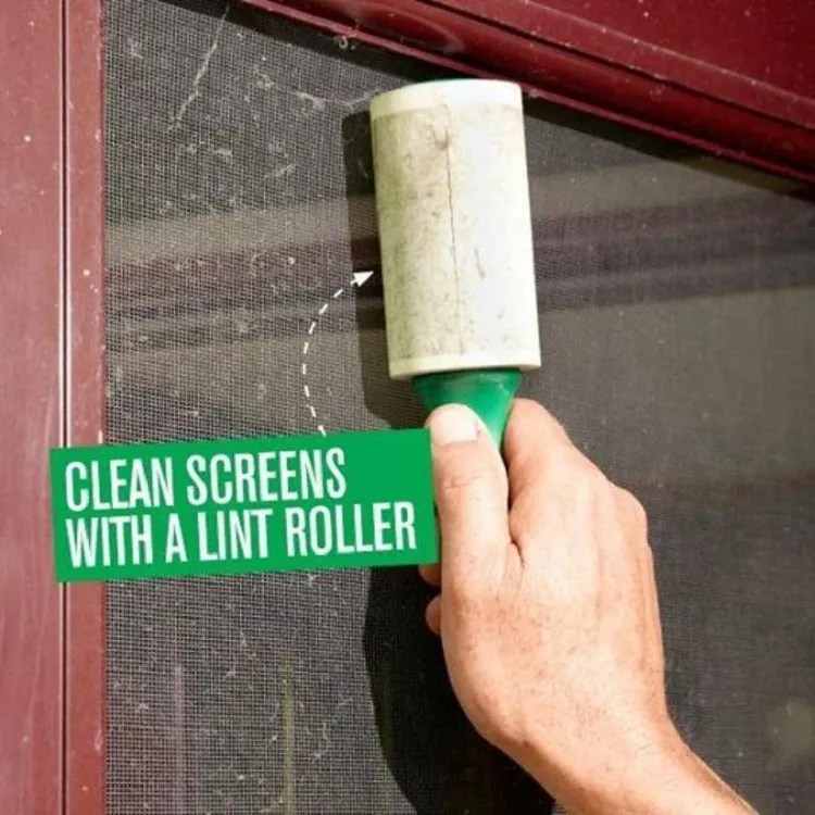 How to clean a window screen Try these timesaving tips!