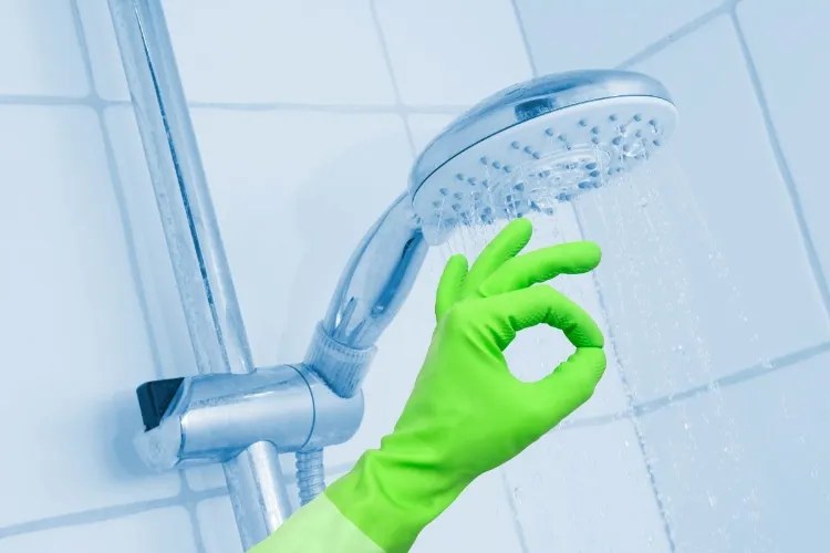 How To Clean Shower Heads the Proper Way and Why You Have To?