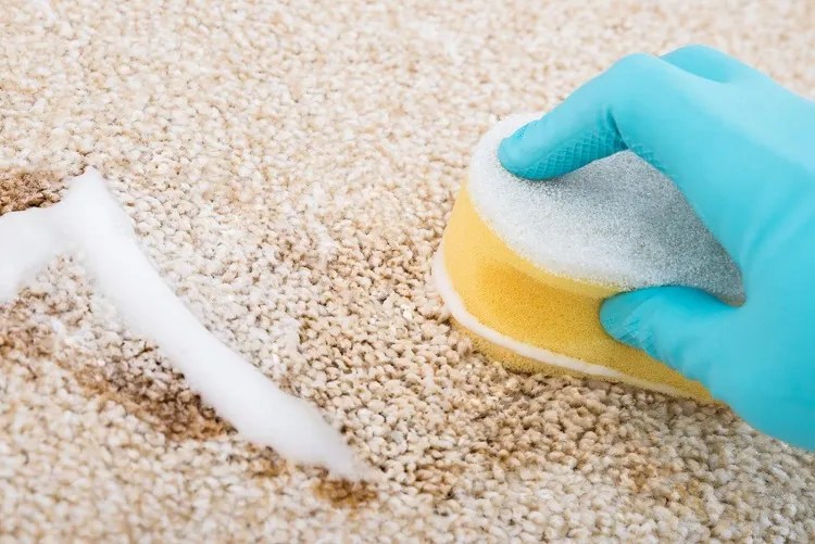 DIY Carpet Cleaner Make Your Magical Homemade Solution!
