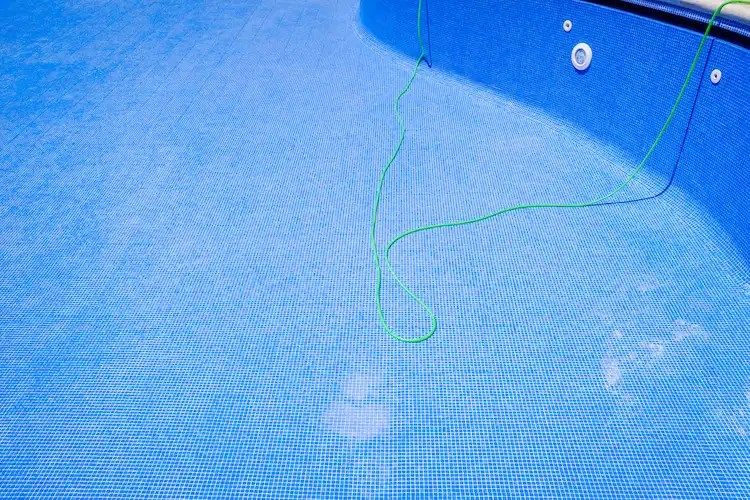 Can You Water Plants with Chlorinated Water?