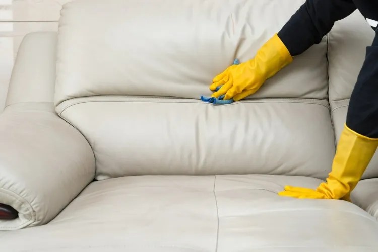 How to Remove a Musty Smell from a Leather Sofa?