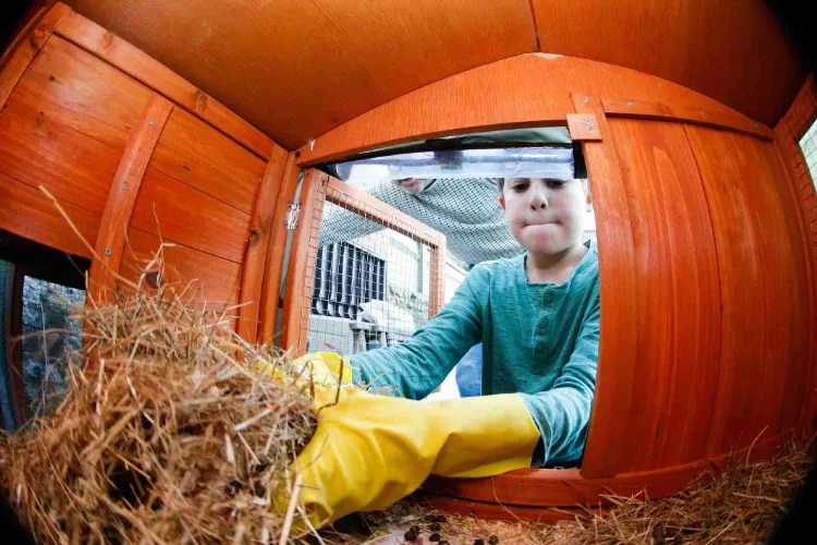 12 Creative DIY Rabbit Hutch Ideas to Keep Your Pet Secure!