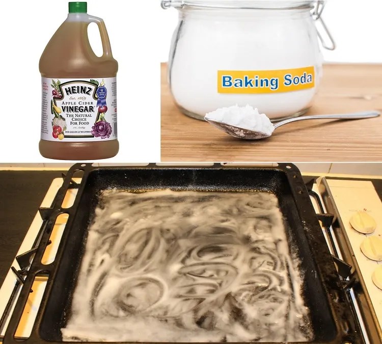 How to Clean a Burnt Oven Tray? Restore its Shininess!