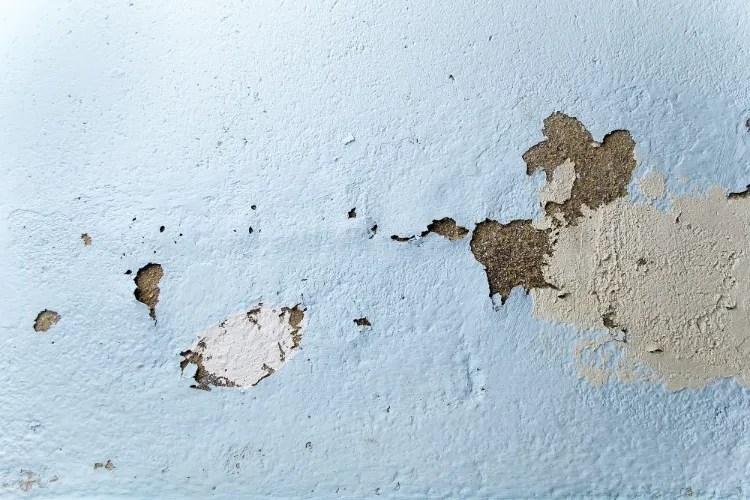 How to Fix Chipped Paint on Wall? Here's a Complete Guide!