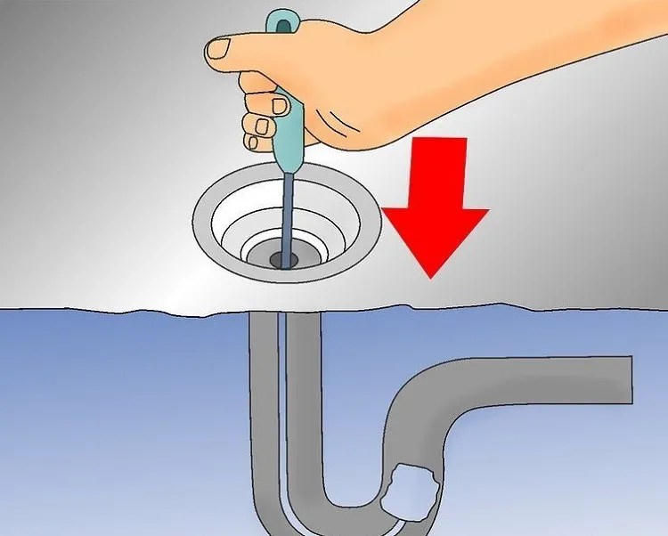 How to Get Rid of Fruit Flies from Drains? Stop Them!