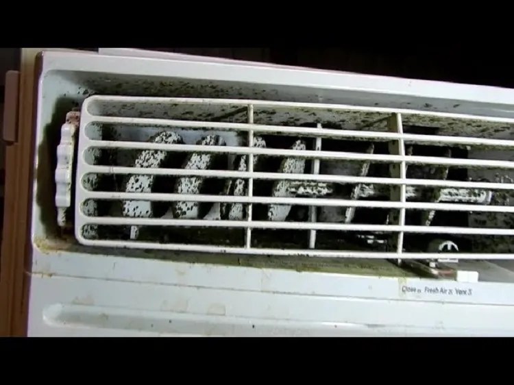 How to Clean Coolers Removing Dust, Bacteria or Mold?