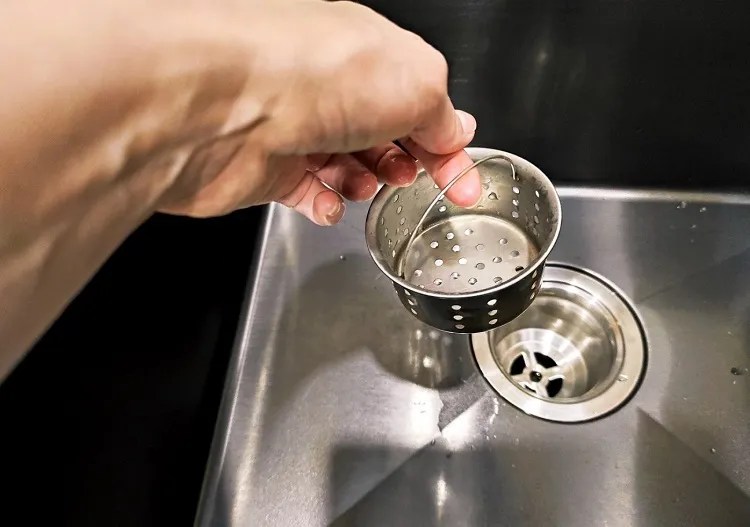 How to Get Rid of Fruit Flies from Drains? Stop Them!