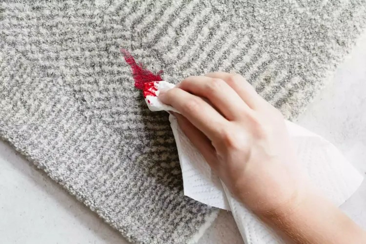 How to Get Paint Out of Carpet Easily and Effectively?