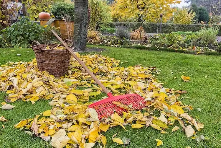 Fall Gardening 10 Tasks to Complete Before the First Frost