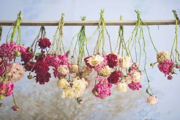 How to Preserve Bridal Bouquet? 6 Easy Methods to Save Your Beautiful