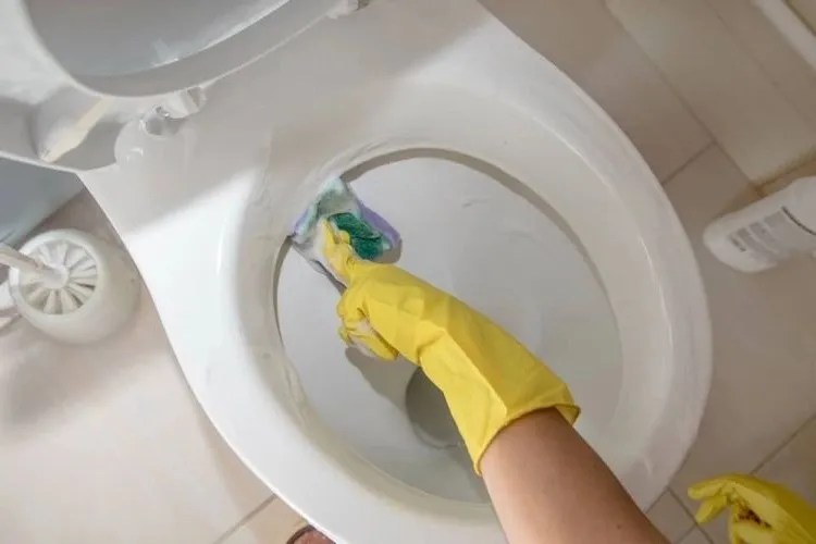 How to Remove Urine Scale Under the Toilet Rim?
