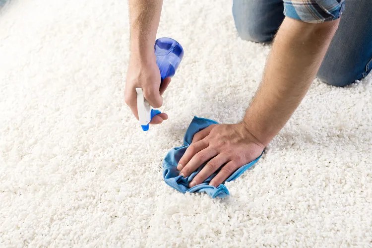 How to Get Paint Out of Carpet Easily and Effectively?