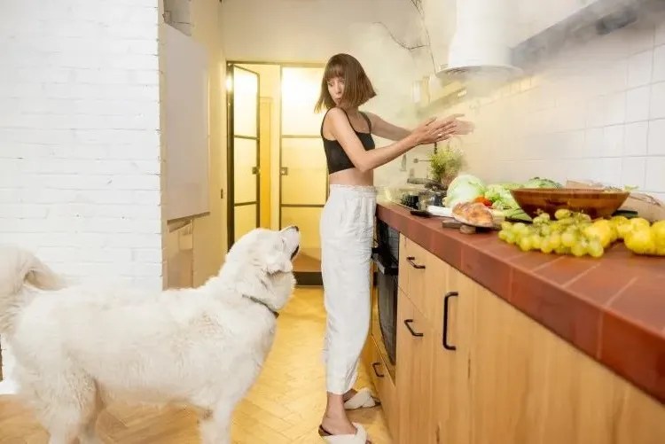 How to Get Rid of Burnt Smell in Microwave? 3 Reports That Prove How