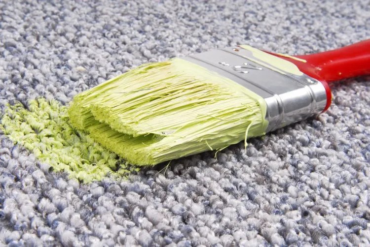 How to Get Paint Out of Carpet Easily and Effectively?