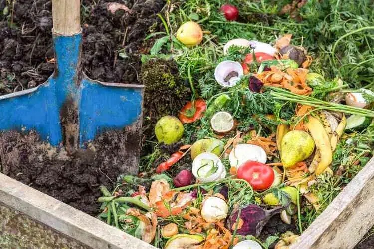 SOS Bad Smells in the Compost! How to Fix The Problem?
