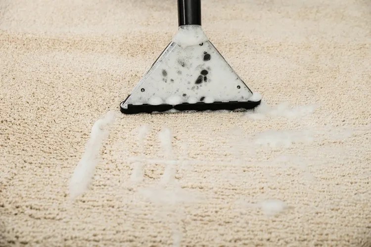 How to Remove Urine Smell from Carpet? 6 Working Solutions!