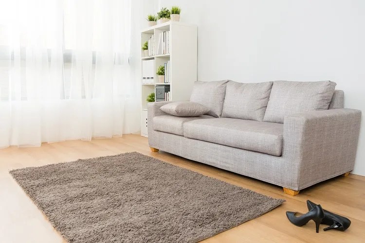 How to Get the Wrinkles Out of an Area Rug? 4 Effective Methods