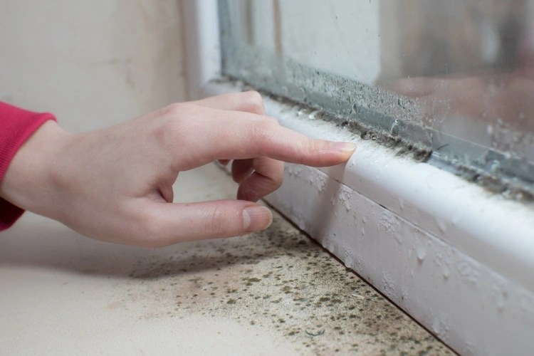 How to Clean Mold on Window Frame? Easy & Quick Home Remedies