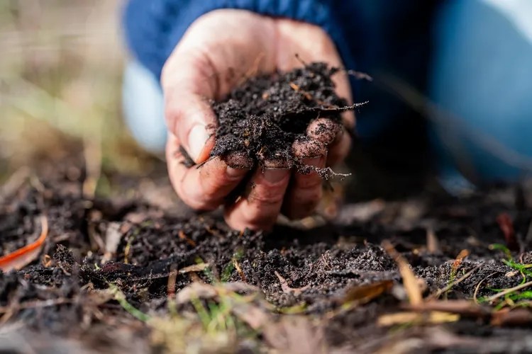 Sheet Mulching on a Slope This is How to Do It Properly