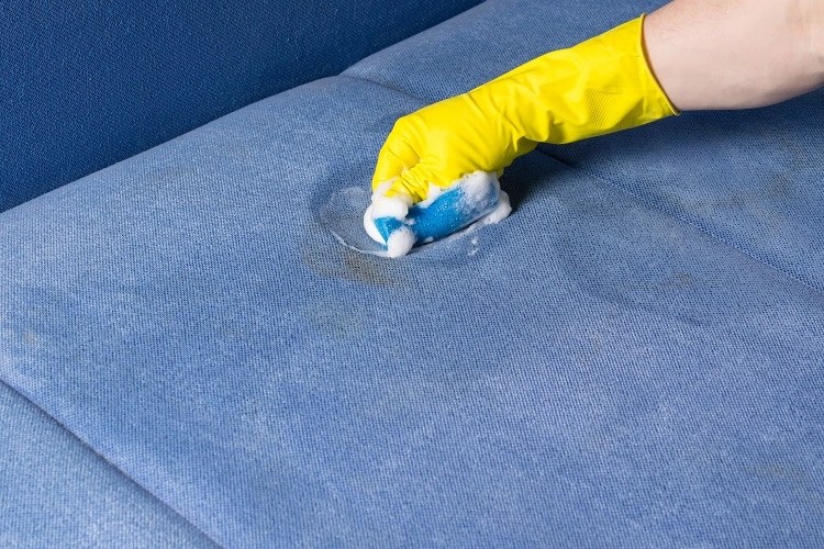 How to Clean Chocolate Stains from a Fabric Sofa A Guide