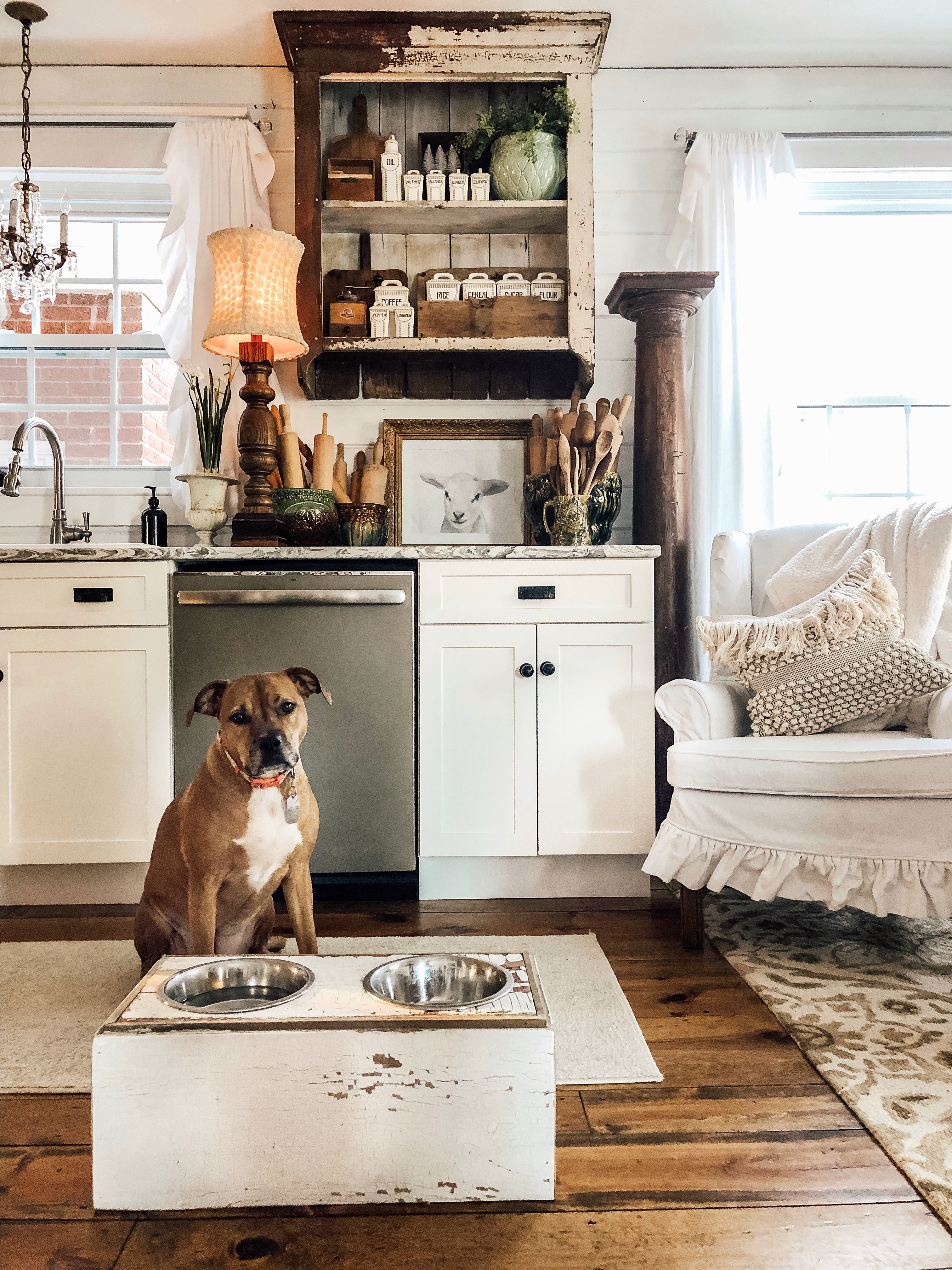 The Farmer's Dog Real Food Made Fresh for Ivy Deb and Danelle