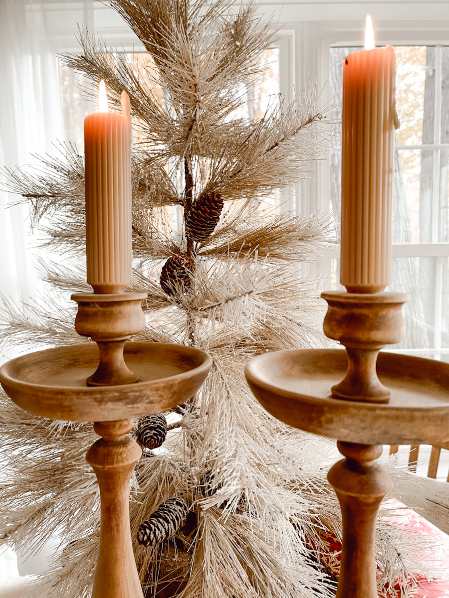 Stripping Stain using the Oven Cleaner Method Deb and Danelle