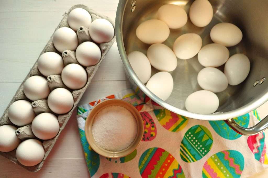 Angel Eggs — Debbie