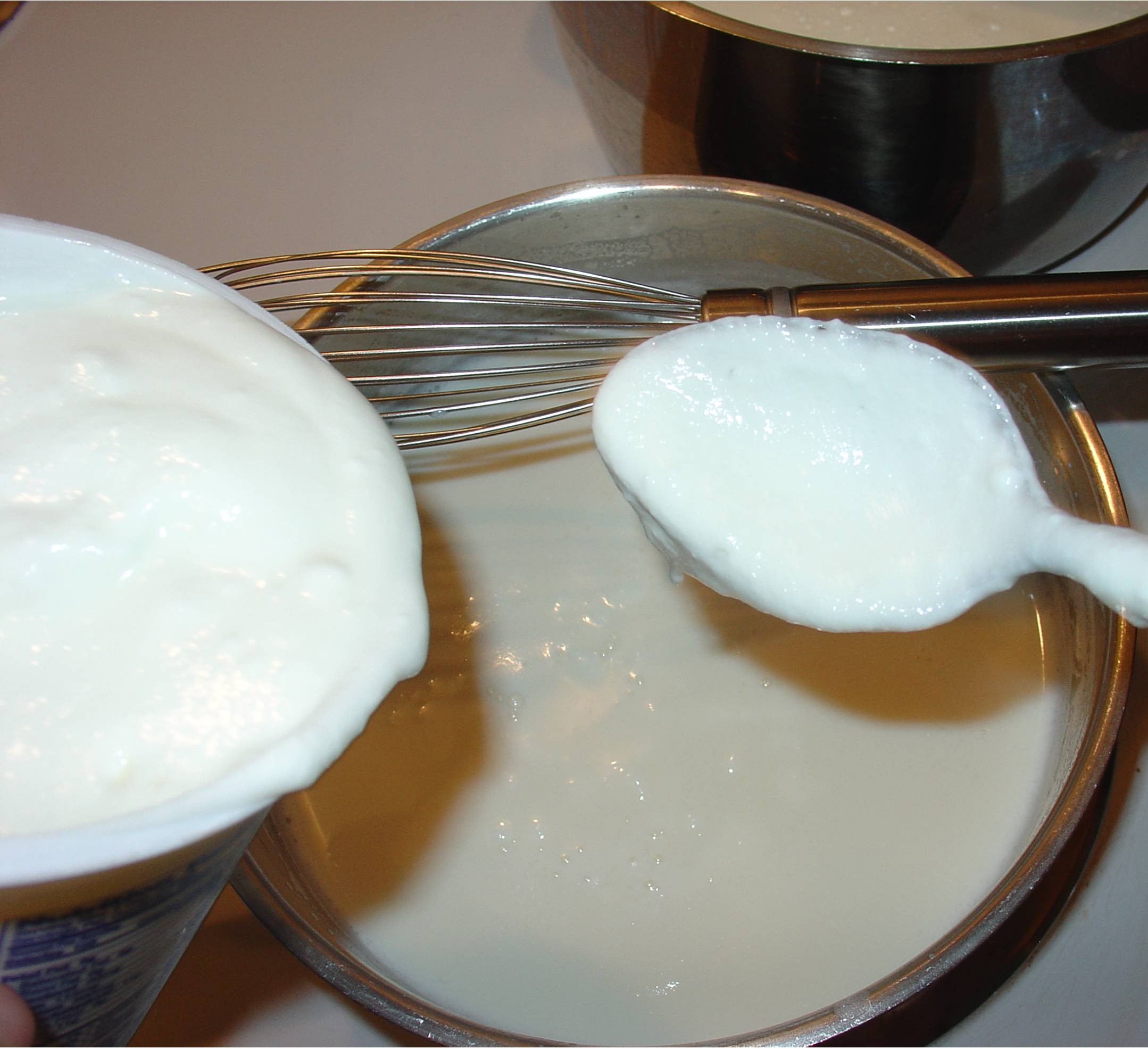 Homemade Yogurt