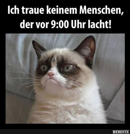 Neu Lustige Bilder, Witze, Videos und fb Sprüche