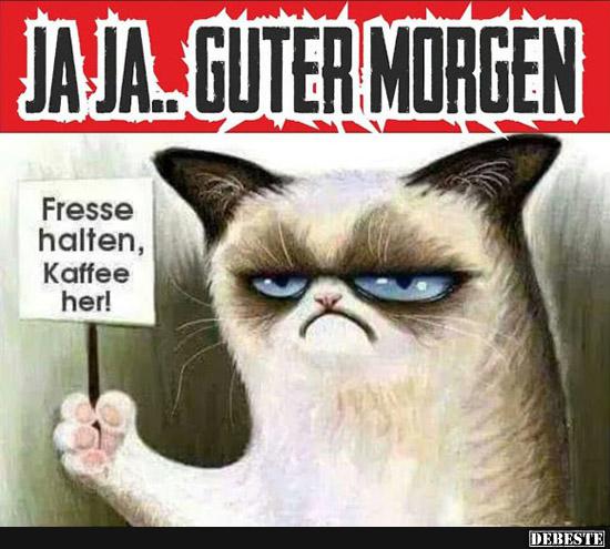 Ja Ja.. Guter Lustige Bilder, Sprüche, Witze, echt lustig