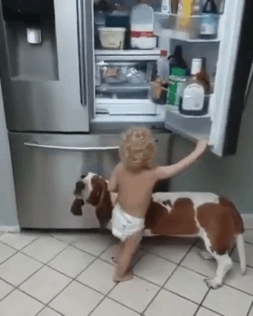 Teamarbeit.. :) | Lustige Bilder, Sprüche, Witze, Echt Lustig 450_x_360_gif