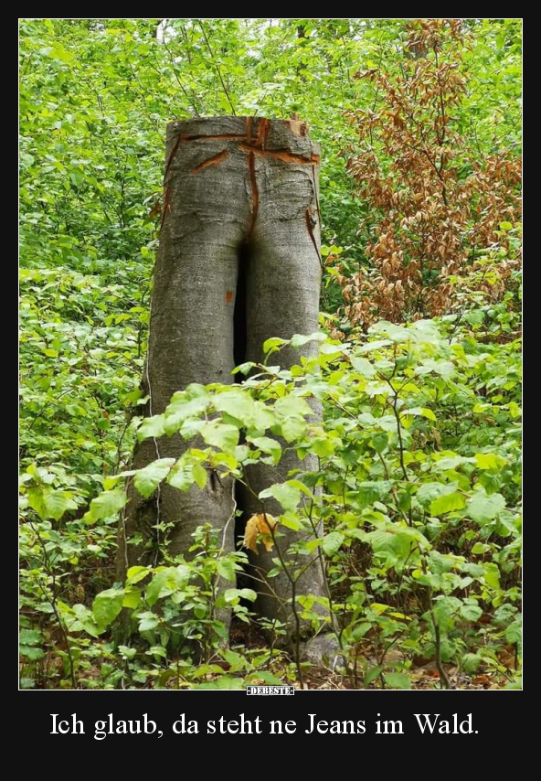 Ich glaub, da steht ne Jeans im Wald... Lustige Bilder, Sprüche