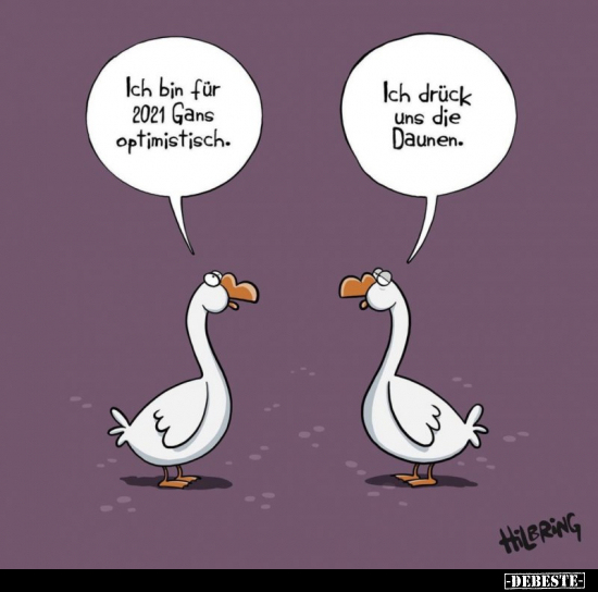 58 lustige Bilder Optimist Optimist lustig DEBESTE