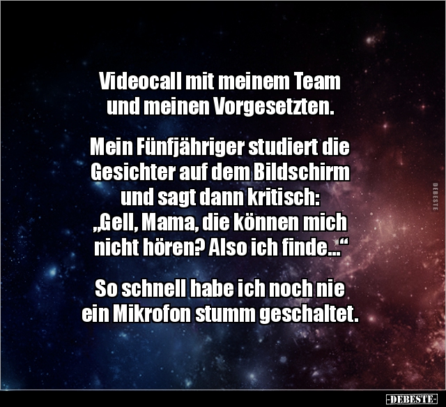 Videocall Mit Meinem Team Und Meinen.. | Lustige Bilder, Sprüche, Witze, Echt Lustig 583_x_640_jpg