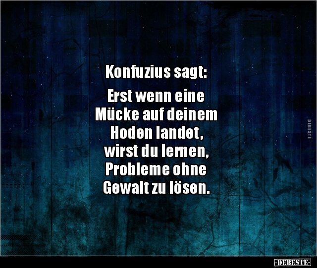 Konfuzius sagt Erst wenn eine Mücke auf deinem Hoden.. Lustige
