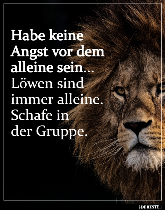 Habe Keine Angst Vor Dem Alleine Sein Lustige Bilder Spruche Witze Echt Lustig