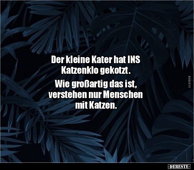 menschen Witze und Sprüche DEBESTE.de
